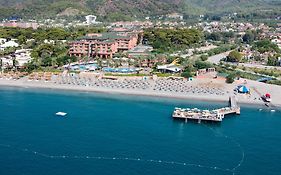 The Norm Oriental Kemer